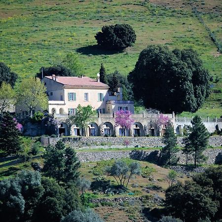 La Ventulella Bed and Breakfast Moltifao Buitenkant foto