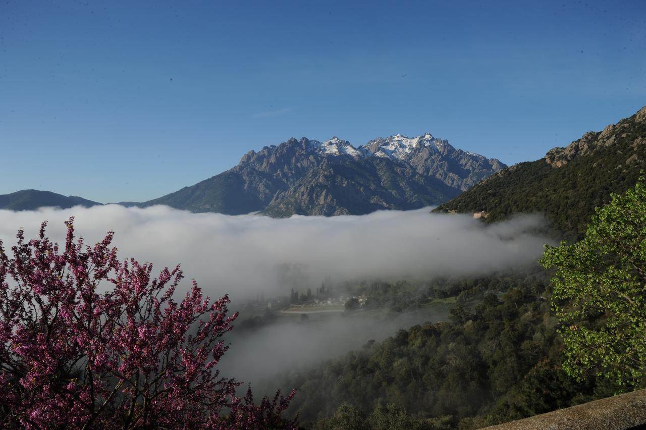 La Ventulella Bed and Breakfast Moltifao Buitenkant foto