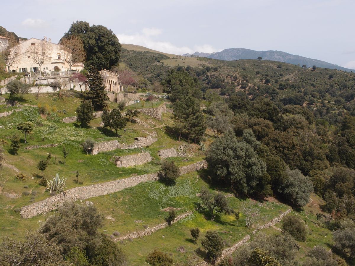 La Ventulella Bed and Breakfast Moltifao Buitenkant foto